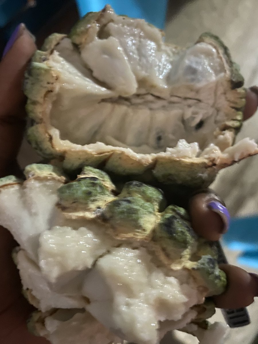 wealthyamoy's tweet photo. Why sweet sop afi nice so. Cudn even wait till it fully ripe.
#FavFruit https://t.co/T1Gw58HwgR