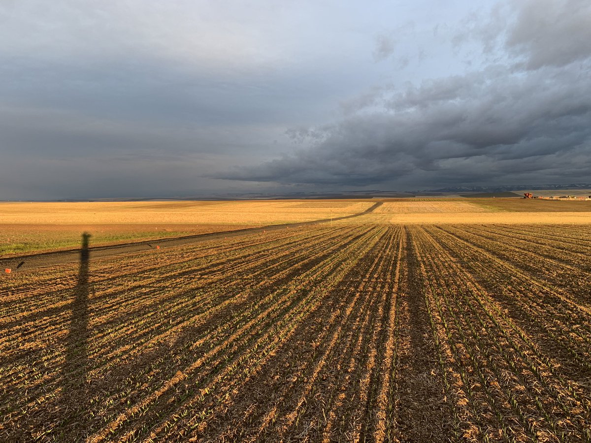 Ryan Graebner tweet media