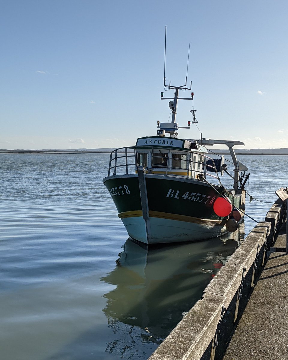 PipaMina80's tweet image. 1ère balade du 2ème déconfinem., notre magnifique Baie de Somme! Ns avions tellem. hâte d'y retourner. La journ. a été superbe.Ns avons profité de ch. instant. La vie tranquille ... en Somme!
#LeCrotoy 💙
#Somme 💙
#Picardie 💚
#BaiedeSomme 💙
#HautsdeFrance 🧡
#MagnifiqueFrance