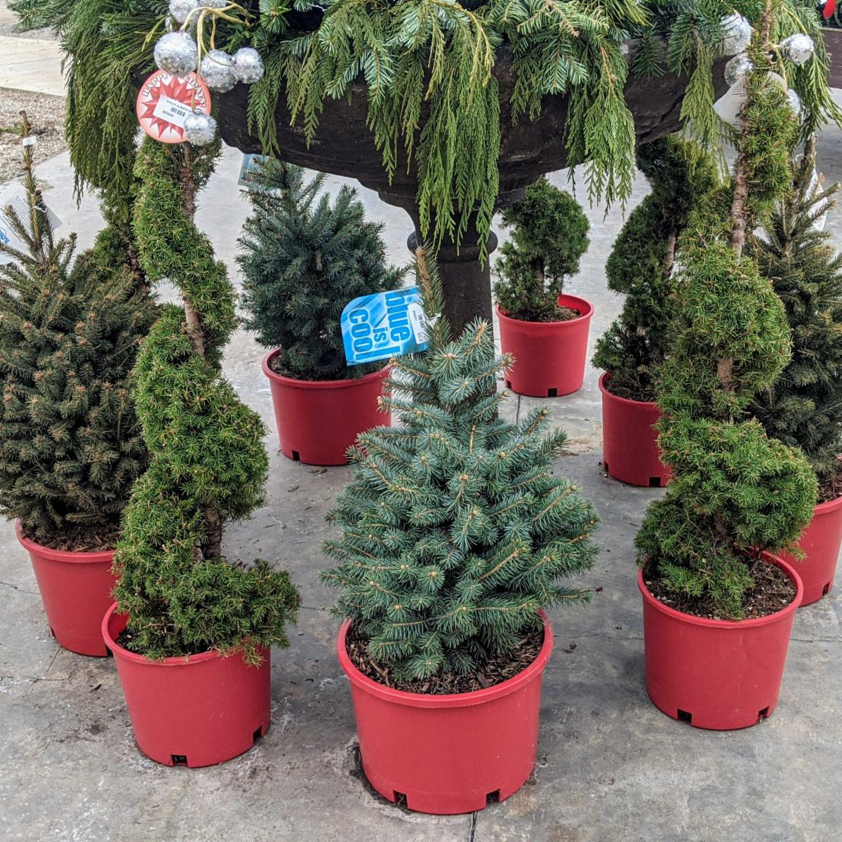 In case you missed it! conta.cc/2WsUVE9