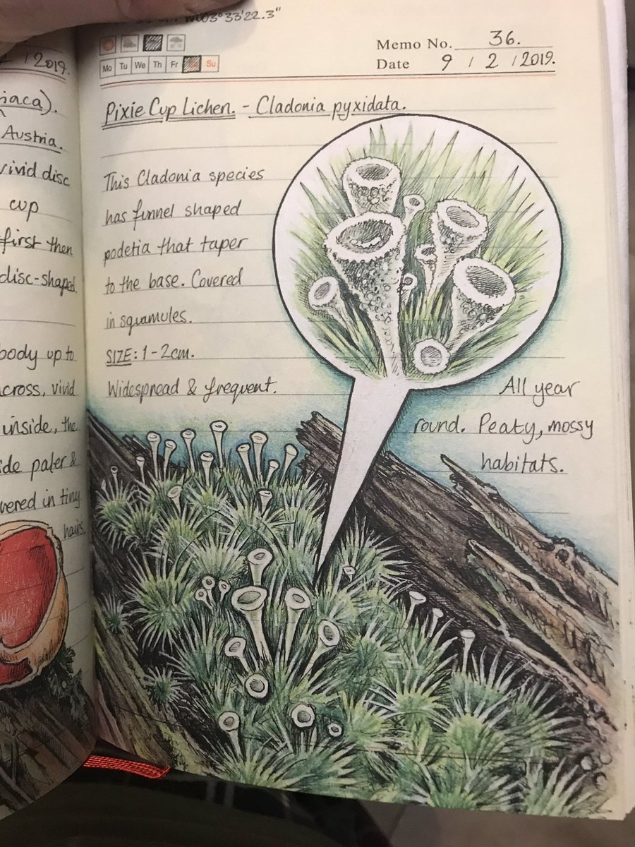 Dr Scott J. Davidson tweet media