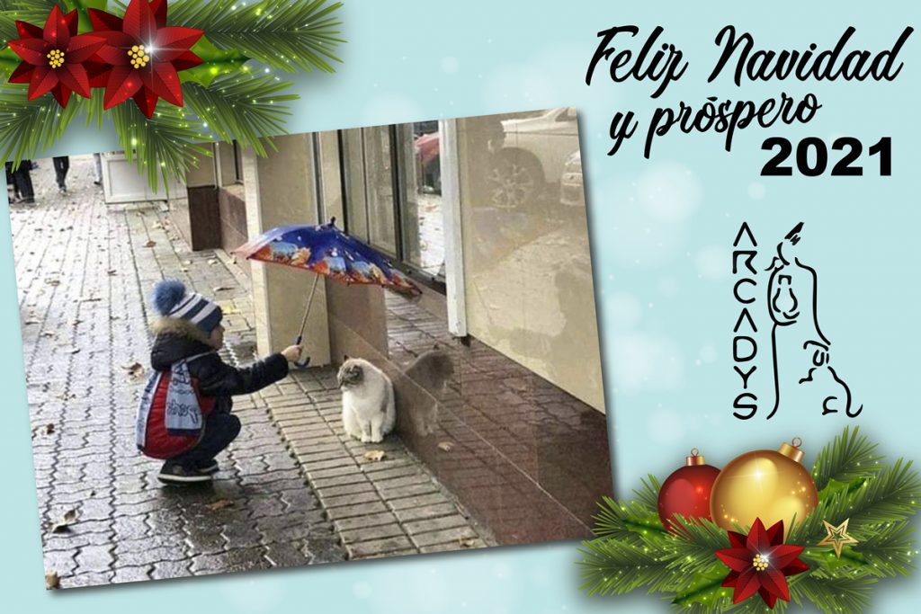 ARCADYS le desea Feliz Navidad y próspero 2021 - arcadys.org/arcadys-le-des…