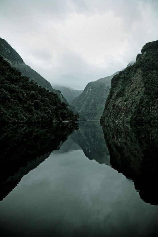 bjørn //hiatus (@allisprey) on Twitter photo 