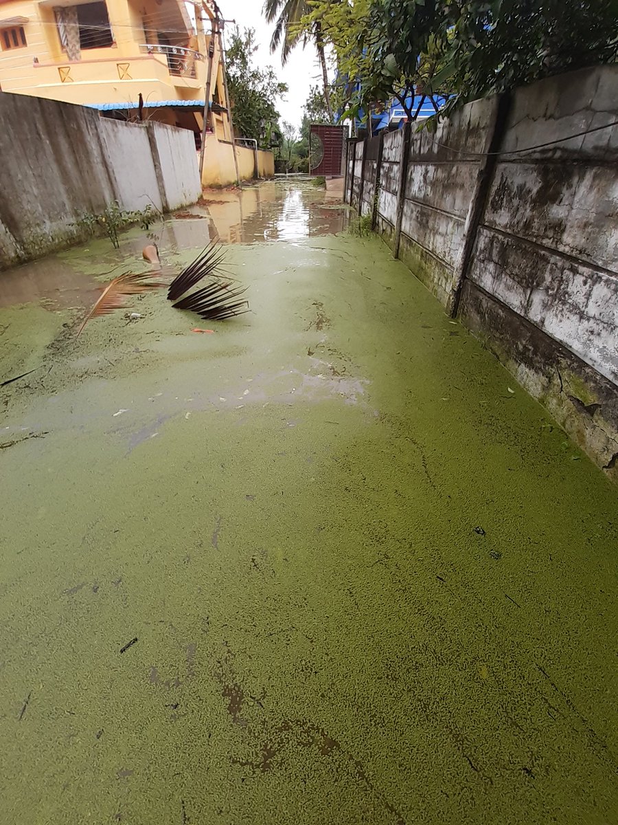 silence_Tq's tweet photo. @CuddaloreColle1 Respected sir please help us since 20 days we were struggling with rain water around and inside home. Bhuvanagiri Municipality still doesn't take any action to drain the rain water. Lady's were struggling.water level is above hip level. #Emergency sir https://t.co/gM3bq6zAx6