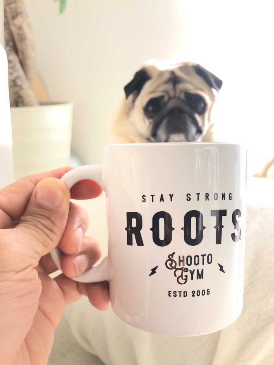 ruminasato's tweet image. 寒い朝はホットからのスタート🐶☕️
オリジナルマグも販売中！
rootsgym.base.shop