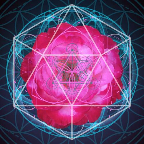 ecoartopia's tweet photo. #metatrons rose -- a new work of photography and #sacredgeometry by #DigitalArtist @Gisellebisson now on @ecoartopia #Solstice #Hanukkah. https://t.co/vOQG3E1aN6