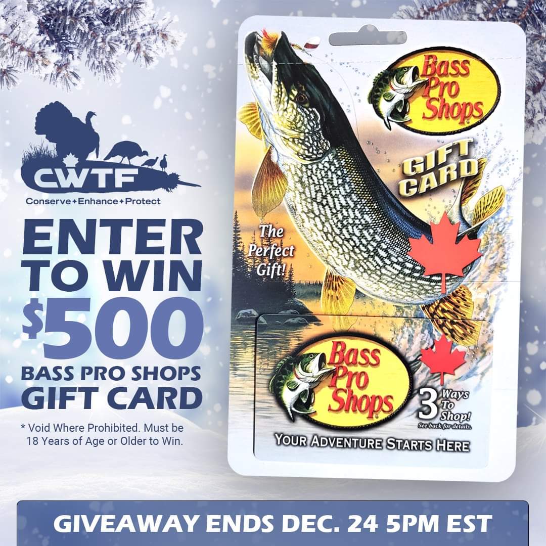 Canadian Wild Turkey Federation tweet media
