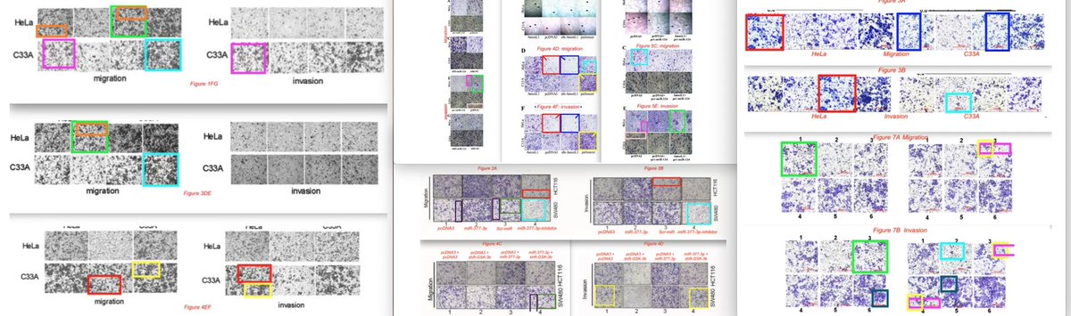 I just reported a set of 39 papers from a research group at Tianjin Medical University, all with overlapping images. Here is a selection of the problems.