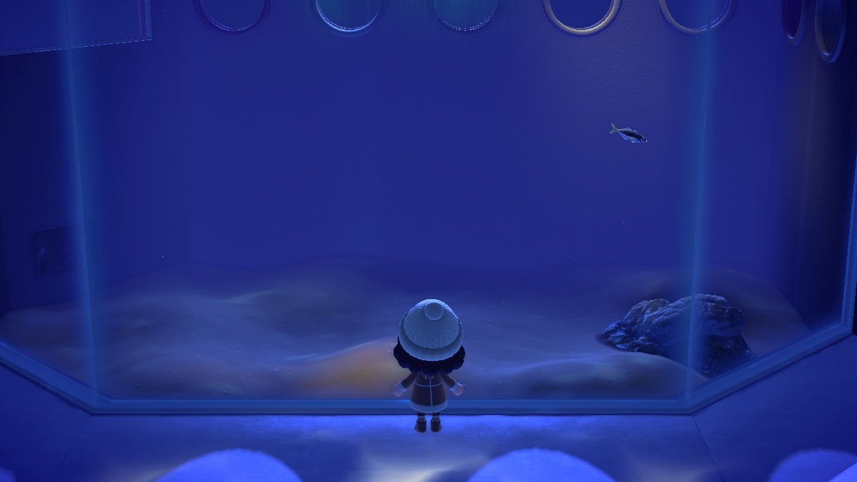 weasluv's tweet image. do u ever just feel like the horse mackerel?