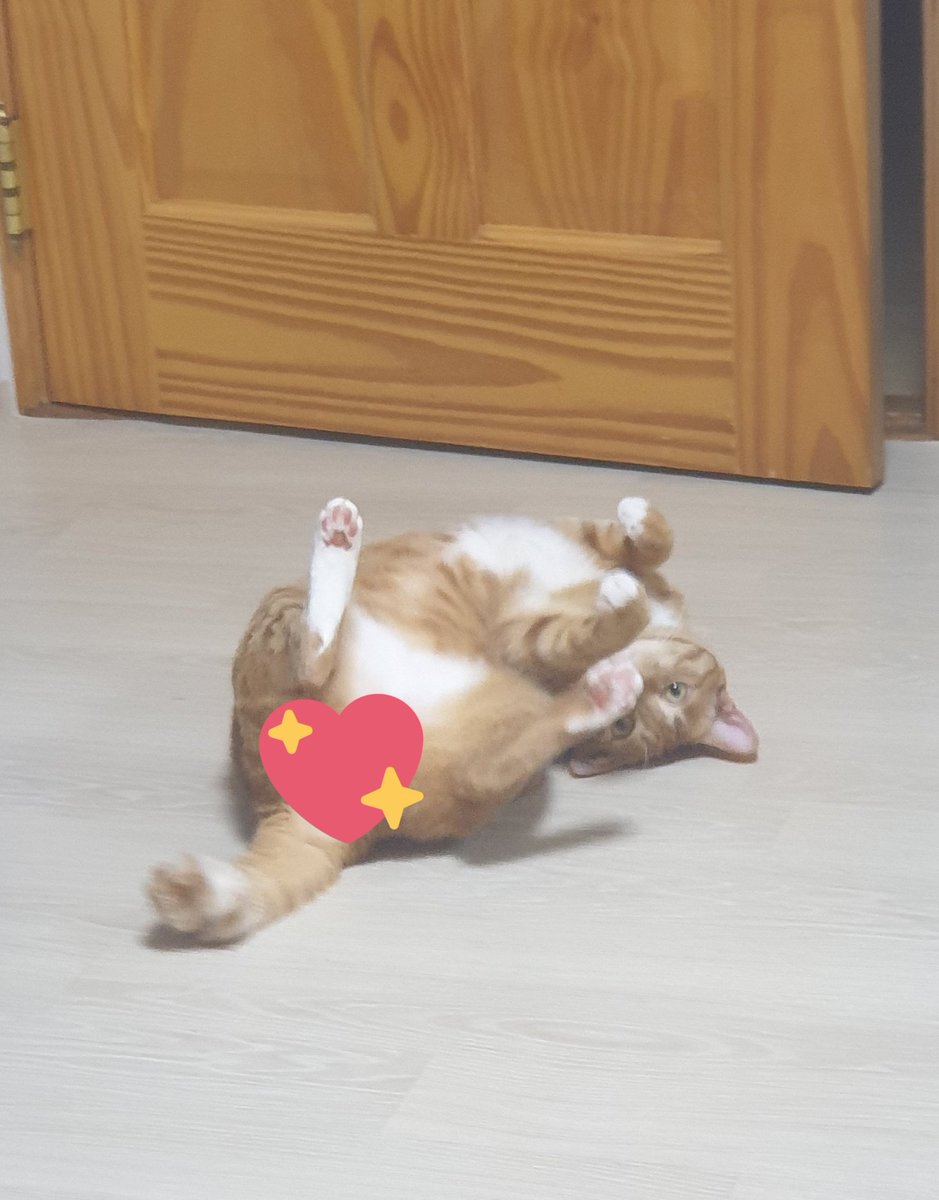 FALL_LOVE_S2's tweet photo. 왕댕콩스 https://t.co/ycUlV5vmUp
