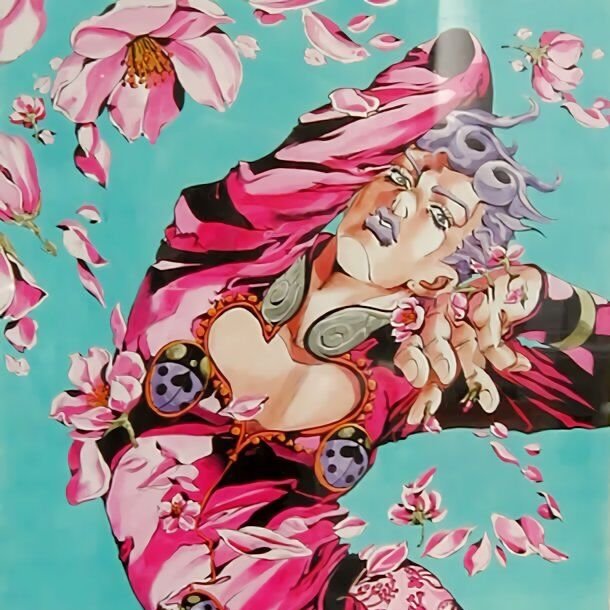 find the ladybug !!couldnt find it ? open the tweet !