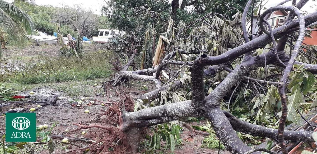 AdraFiji's tweet photo. Another area we served in through our @EUPasifika funded Yadrayadravi Aacountability & Monitoring Project. Receiving 📷 from our CSO reps in Dreketi, Qamea, Cakaudrove on damages caused by #TCYasa. Glad no lives have been reported lost.
#DisasterReady #ADRAresponse #OthersFirst https://t.co/GvRp71lCAc