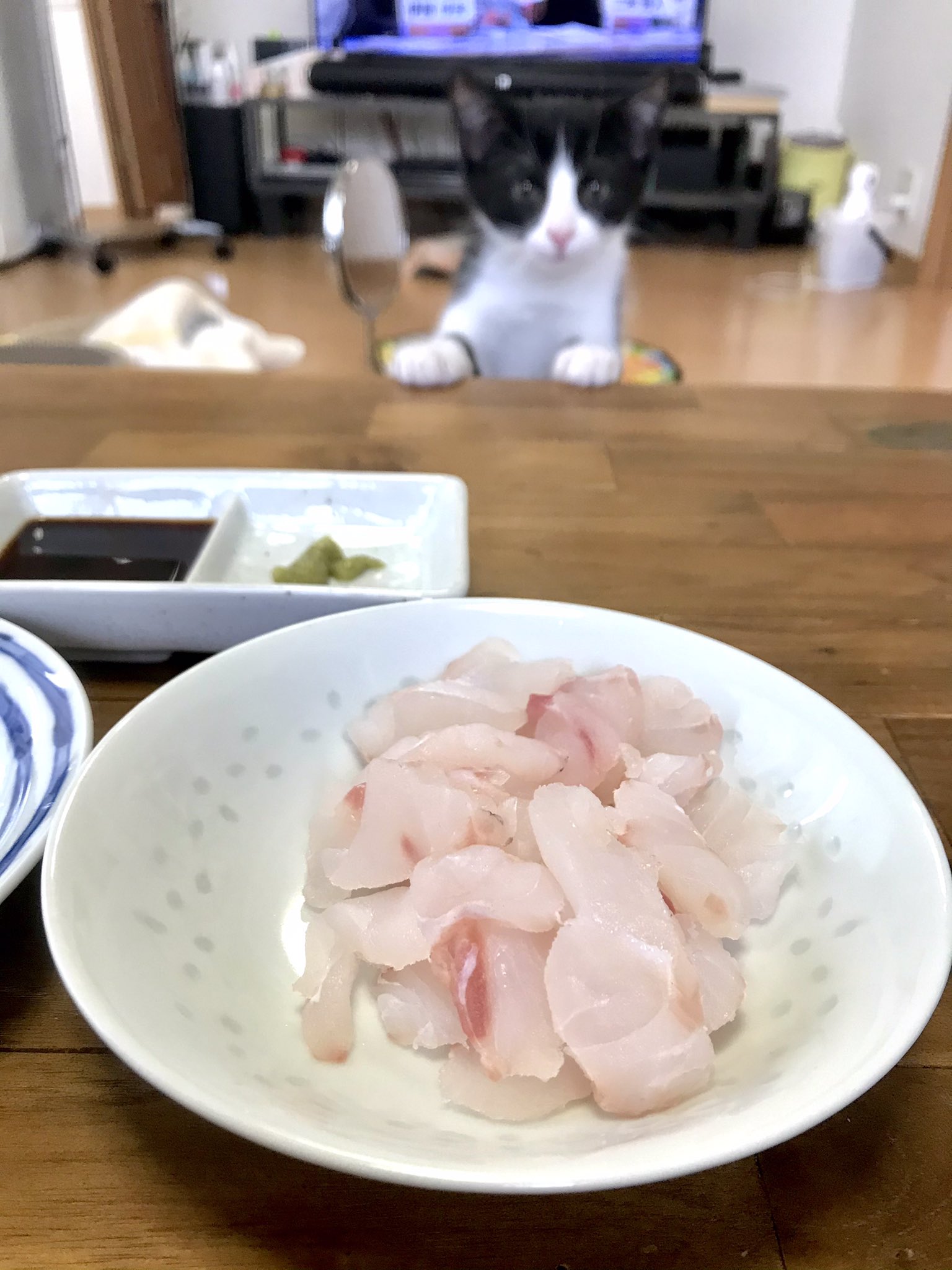 カミティー 自宅で昼飲み 5日間熟成させた甘鯛のお刺身を アマダイと一緒に食べました T Co Qjbiqkn6vm Twitter