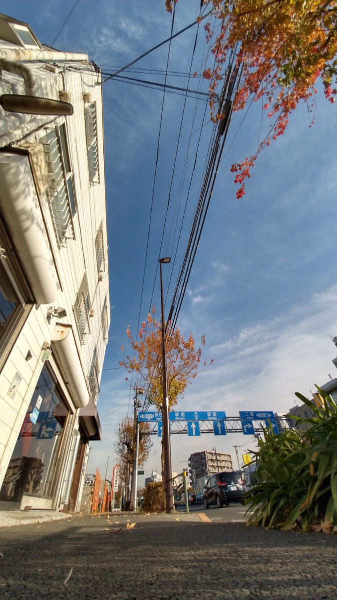 mohawkcharider's tweet photo. 道楽輪業開店です❗
#KHS #F20R #オーバーホール
着々と作業進んでます🛠️
今日で #自転車 の形にはなるかな😁
今日も20時頃まで開店してます。
よろしければお立ち寄りください。
#修理
#西東京市
#西武柳沢
#東伏見
#ミニベロ
#ロードバイク
#MTB
#クロスバイク
#ママチャリ
#電動アシスト自転車 https://t.co/PbvqPmxWkF