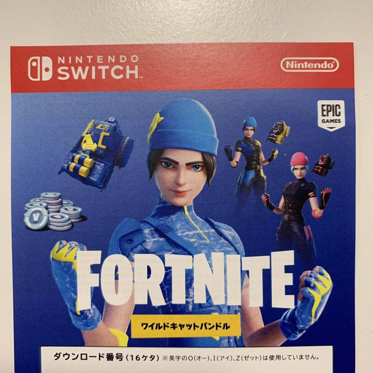 Fortnite ワイルドキャットコード　１枚