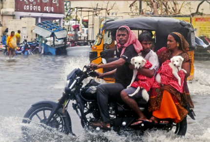 Odisha's proximity to the Bay of Bengal & high summer temp. have brought severe cyclones, floods and heat waves. Sushil Dash and Sarat Sahu  @SOAsocialmedia investigate how Odisha is setting an example in using S&T to cope with extreme weather phenomena.  http://go.nature.com/37s7shs&nbsp;