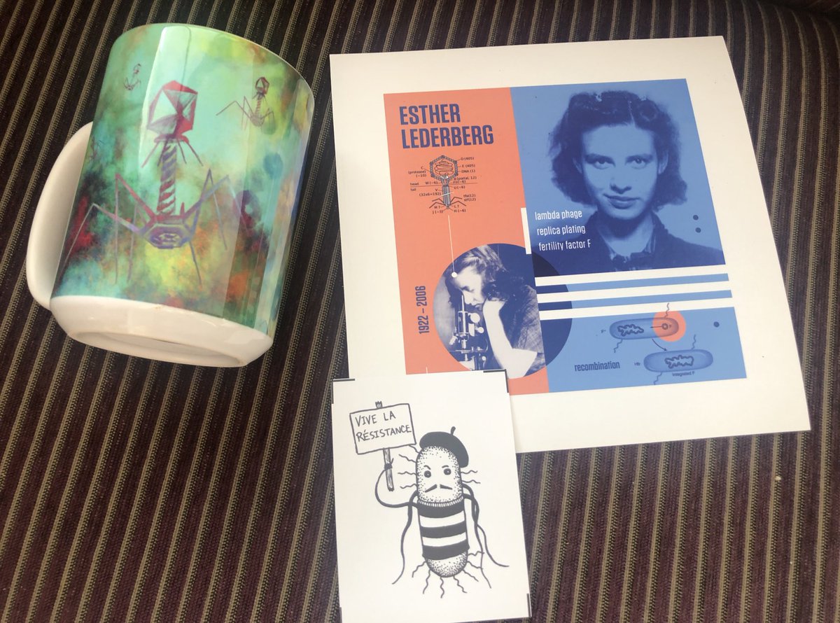 DrHHNZ's tweet photo. I think my incredible #SecretSerratia  present came through in several packages! I love my #phage presents and #Lederberg phage phan gear and @fsantoriello sticker!  Thank you!!! https://t.co/rREApPEbZE