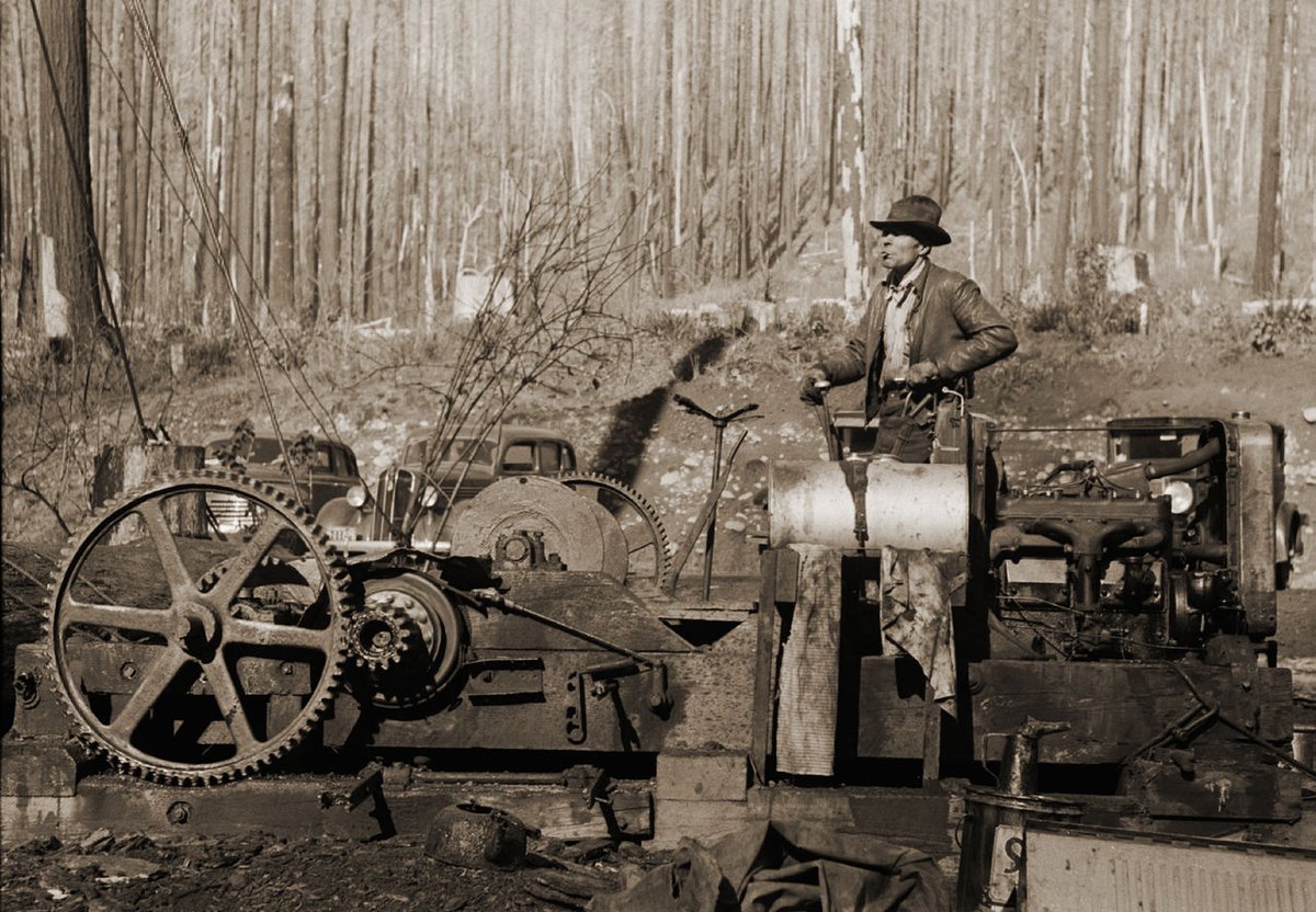 These donkeys were, strictly speaking, mobile.Not that they had wheels or anything, but you'd attach their winch to something stable, and use that to pull the whole engine to where you needed it. The person operating the Steam Donkey was the Donkey Puncher.