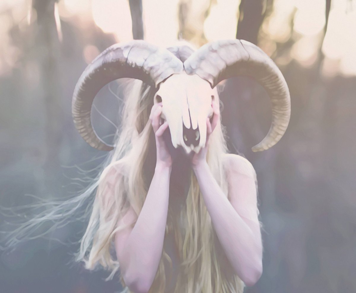LtdTangential's tweet photo. RT @helmortart: ʜᴇʟ ᴍᴏʀᴛ, ᴡᴏᴍᴇɴ ᴏꜰ ꜰʀᴇɴᴄʜ ᴠɪɢɴᴇᴛᴛᴇ, 2020
ᴏɪʟ ᴏɴ ᴄᴀɴᴠᴀꜱ
#helmort #art #contemporaryart #painting #oilpainting #arte #kunst #artist #artgallery #pink #france #franceattacks #terrorism #vignette #islam https://t.co/bS4coB9svE