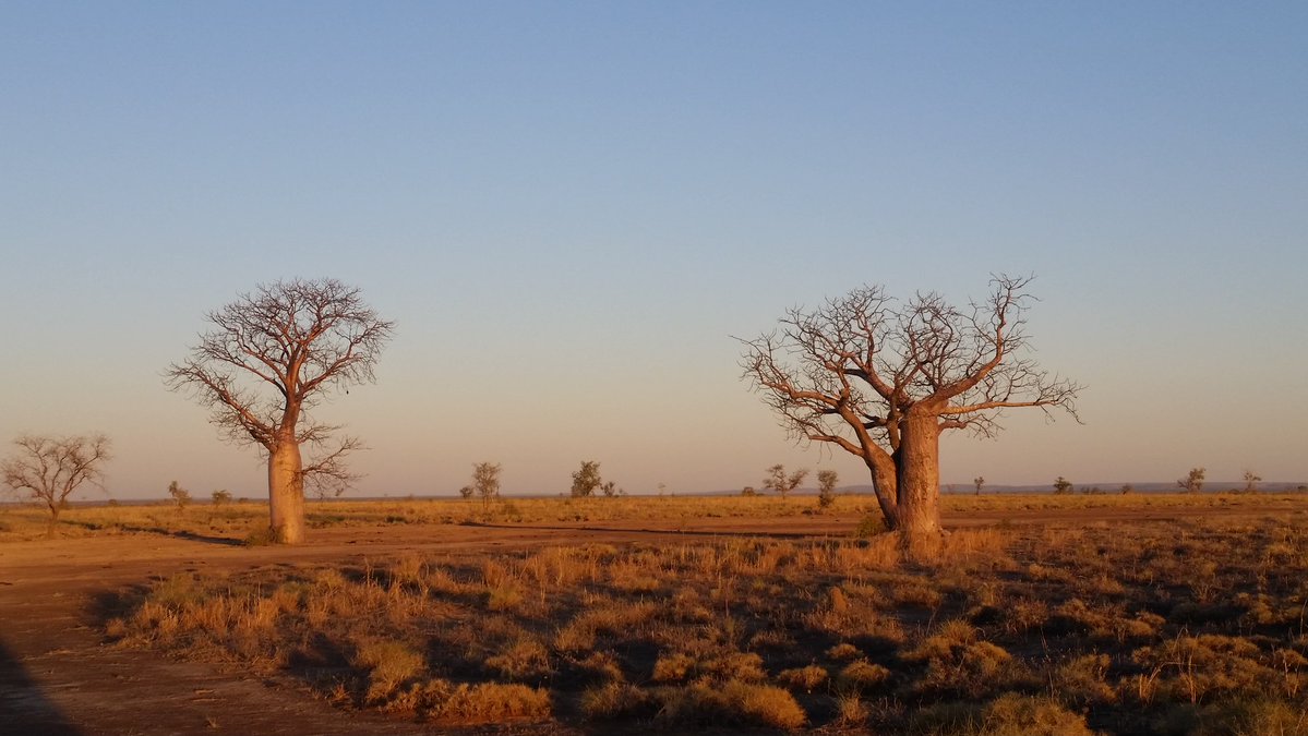 WA Education News tweet media