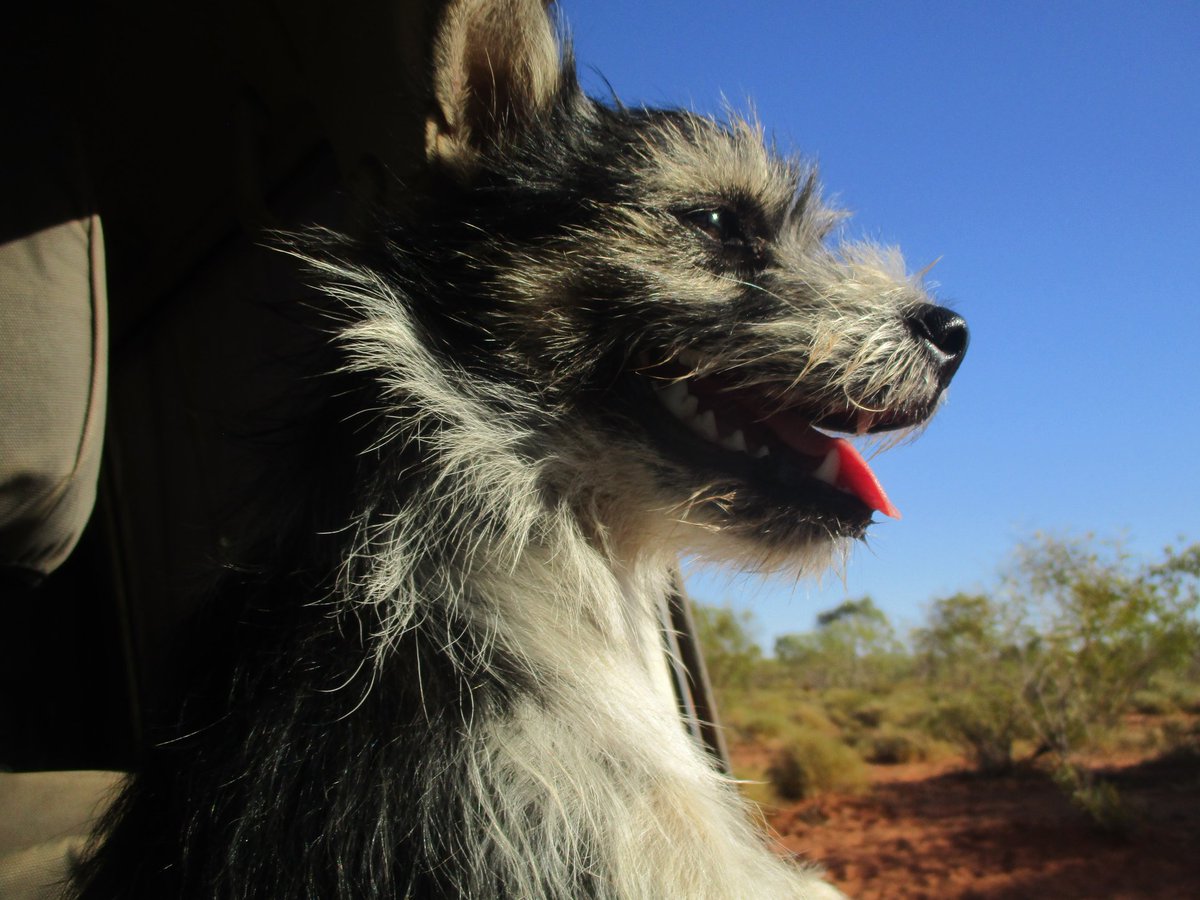 WA Education News tweet media