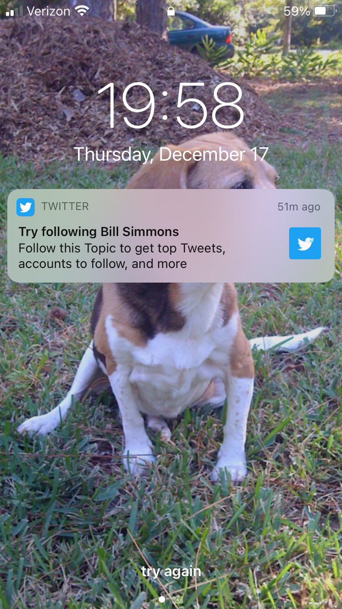 bubbaprog's tweet image. #algorithmfail