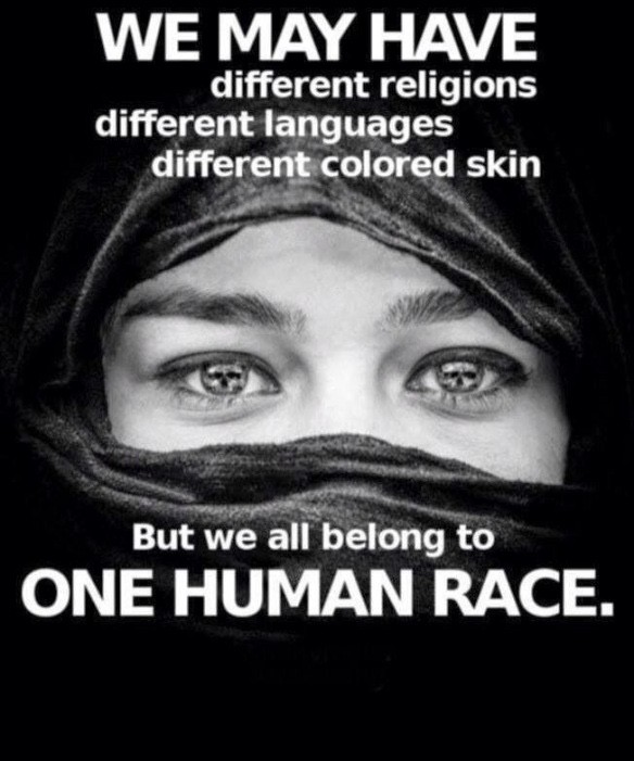 Molamin (@molamin30466659) on Twitter photo 