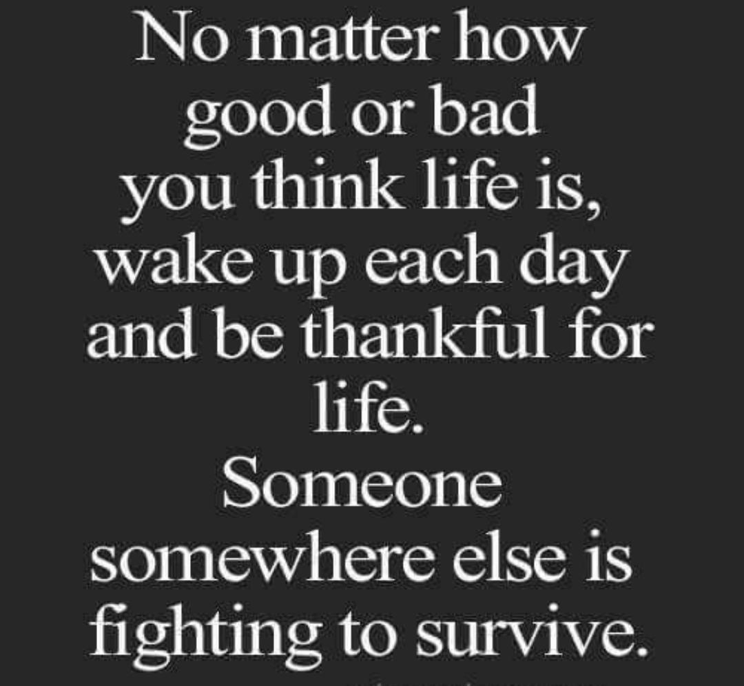 Molamin (@molamin30466659) on Twitter photo 