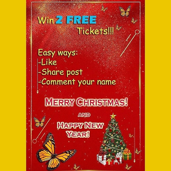 Butterfly Paradise tweet media