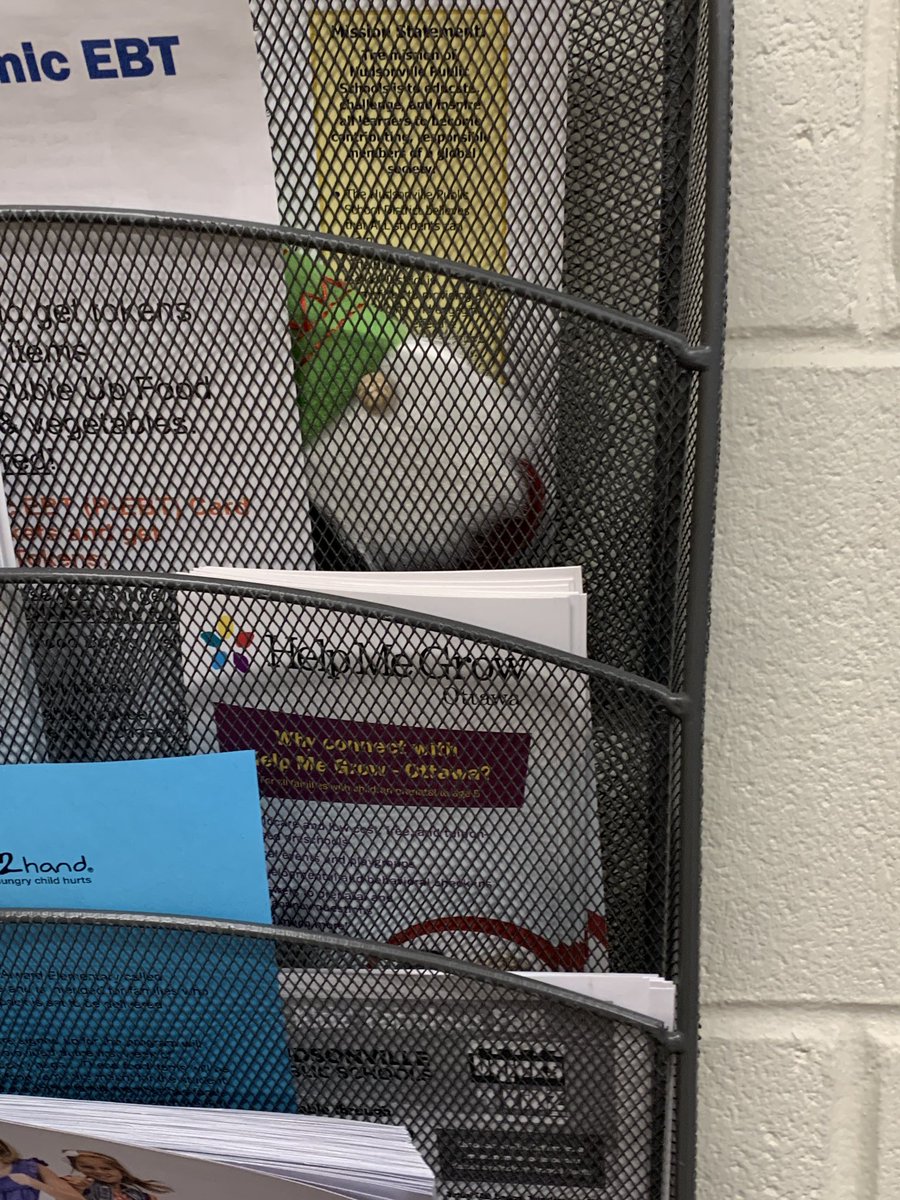 AlwardElem's tweet photo. Teachers and staff hunted for gnomes today!! So much fun! #schoolstaffdeservetohavesomefuntoo https://t.co/UuRqPaCkwH