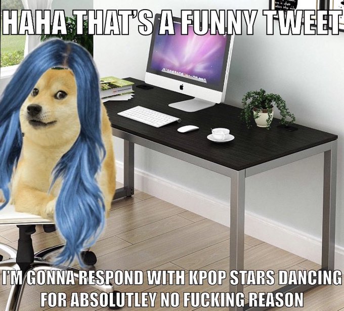 Bad Social Media (@averagesocialme) on Twitter photo 
