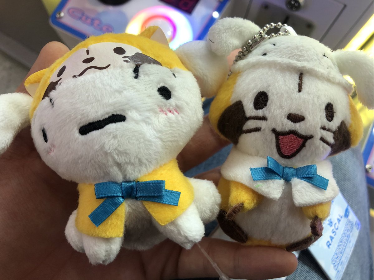 マンガ倉庫日向店アミューズ pa twitter クレヨンしんちゃん ラスカル カバンに付けられるぬいぐるみ 全4種 入荷しましたー ほほーい オラ ラスカルだゾ クレヨンしんちゃん ラスカル シロ しんのすけ しんちゃん ラスカルしんちゃん クレしん 眉毛が