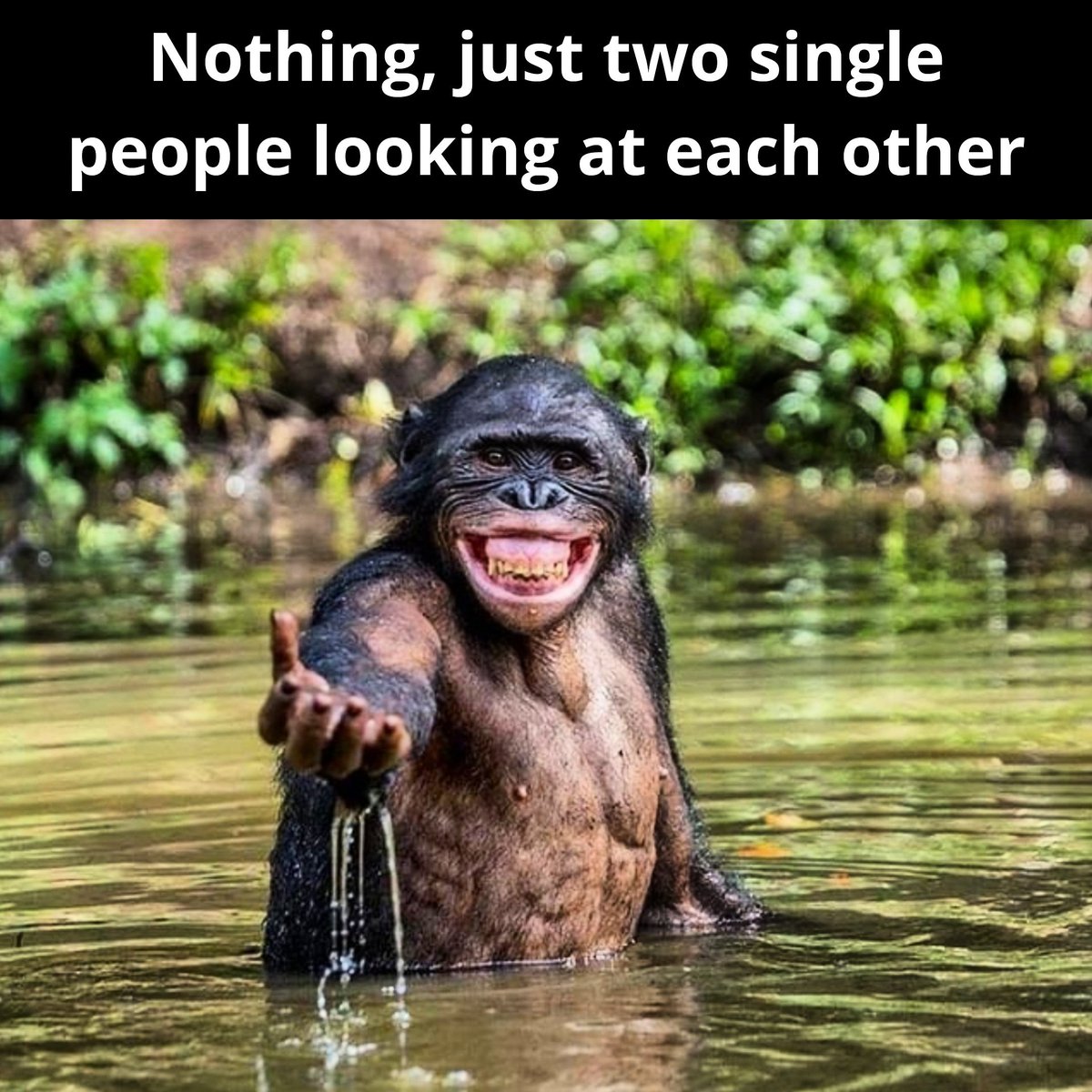 rapid_review's tweet photo. #single #singlelife #meme https://t.co/h00CD8tB96