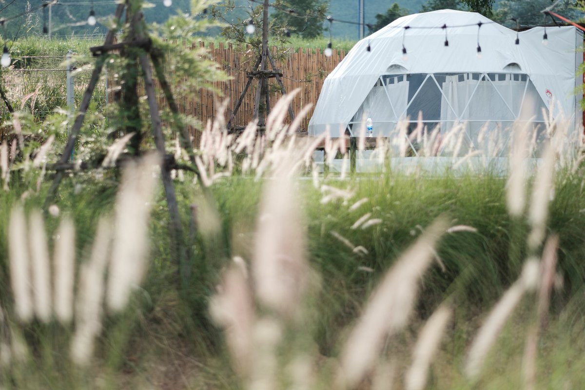 antjourney's tweet photo. ปาท่องโก๋ แคมป์ปิ้ง Campground ใกล้กรุง ที่อ่างเก็บน้ำลำตะเพิน จ.สุพรรณฯ-กาญ
ราคาเต็นท์โดม 1,800 บาท (รวมอาหารเ���้า)
นำเต็นท์มาเอง คนละ 200 บาท
มีอาหาร เครื่องดื่มขาย พาย Sup ฟรี คายัคฟรี @Review_Thailand #ReviewThailand #Campground #ลำตะเพิน https://t.co/U5SHlNVRSH