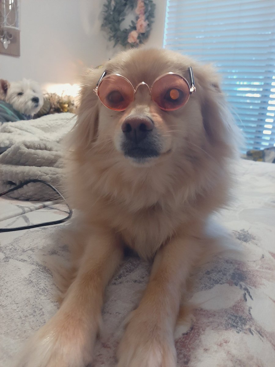 official_floof's tweet photo. you can’t afford my time https://t.co/Q5FvVxnKeb