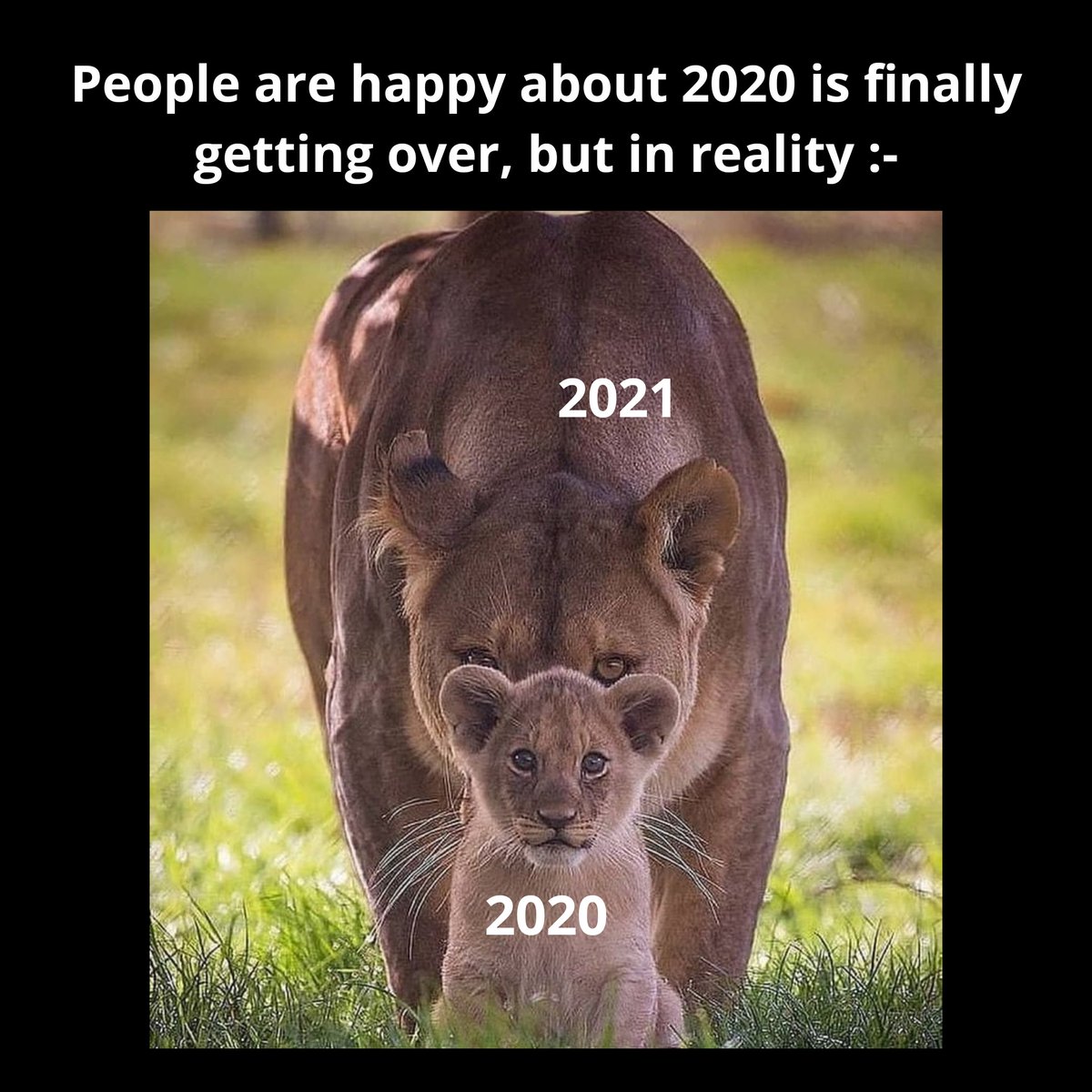 rapid_review's tweet photo. Who is excited for year 2021 ?
#HappyNewYear #meme #Year2020 https://t.co/7MF4TFMqsi