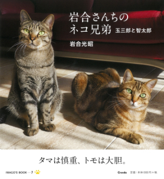 تويتر ハイブリッド型総合書店 Honto على تويتر 本日は 動物写真集ランキング 第3位 岩合さんちのネコ兄弟 玉三郎と智太郎 岩合光昭 著 写真 岩合光昭の家族ネコ キジトラ柄の玉三郎とアメリカンショートヘア柄の智太郎に焦点を当てた写真集 ２匹が元気