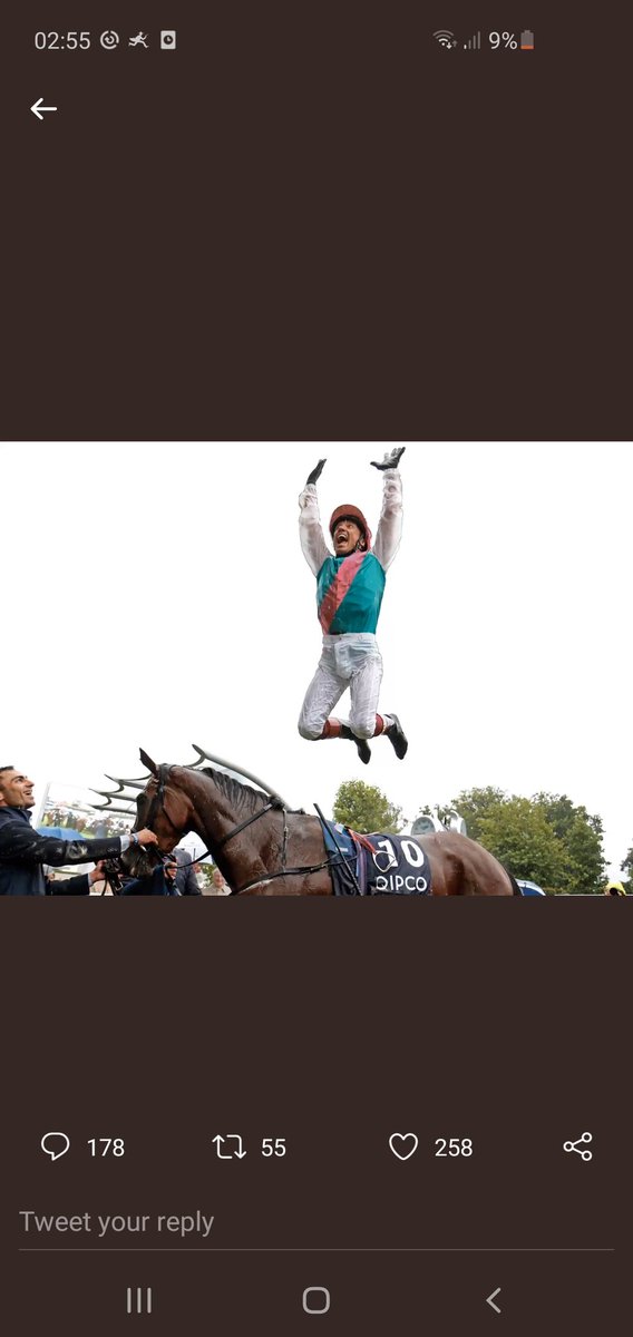 bernardsee's tweet photo. @Ascot https://t.co/oAWGRcq0Hr