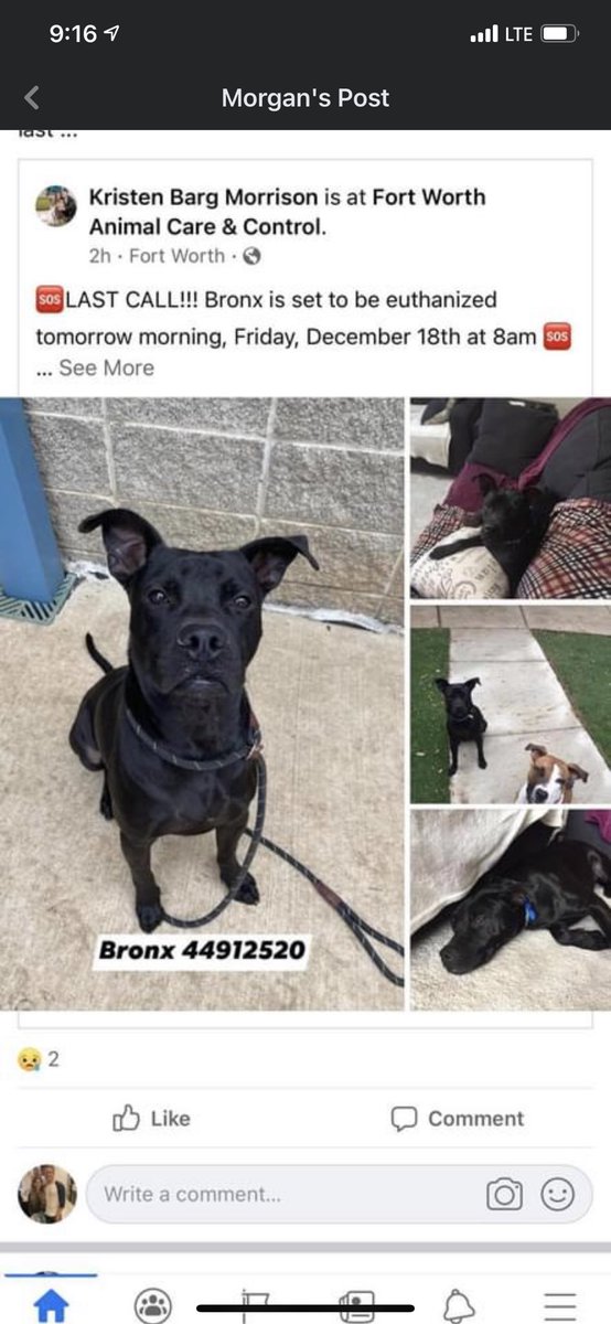 Alexia_san2's tweet photo. Someone please go get this baby 😭 https://t.co/7KsAurS7JY