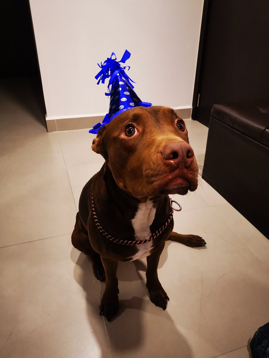 El_Espantajo_'s tweet photo. Ya goe, en buen pedo quitame esta mamada, goe
#JackElPerro https://t.co/F9GMzrUcRp
