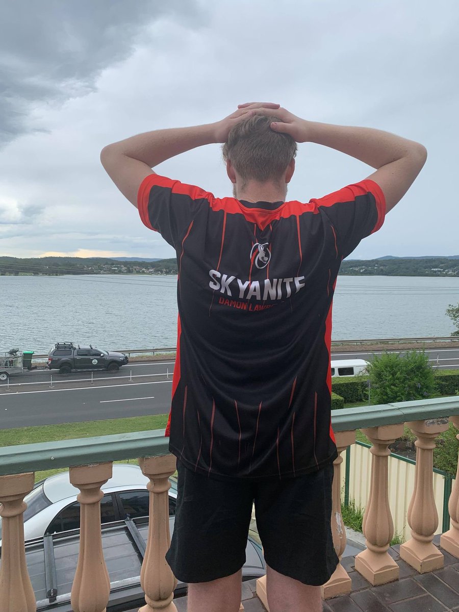 skyanite tweet media