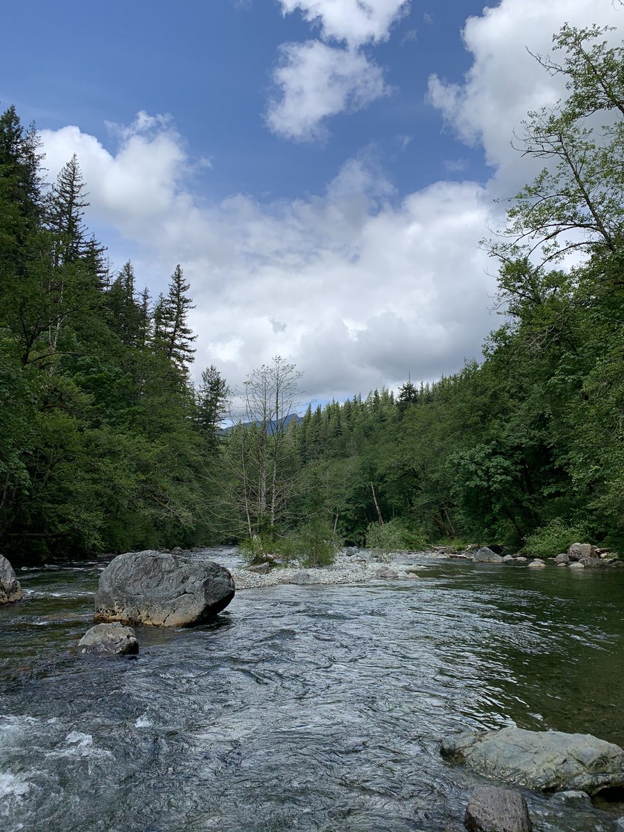 we can start with a banger