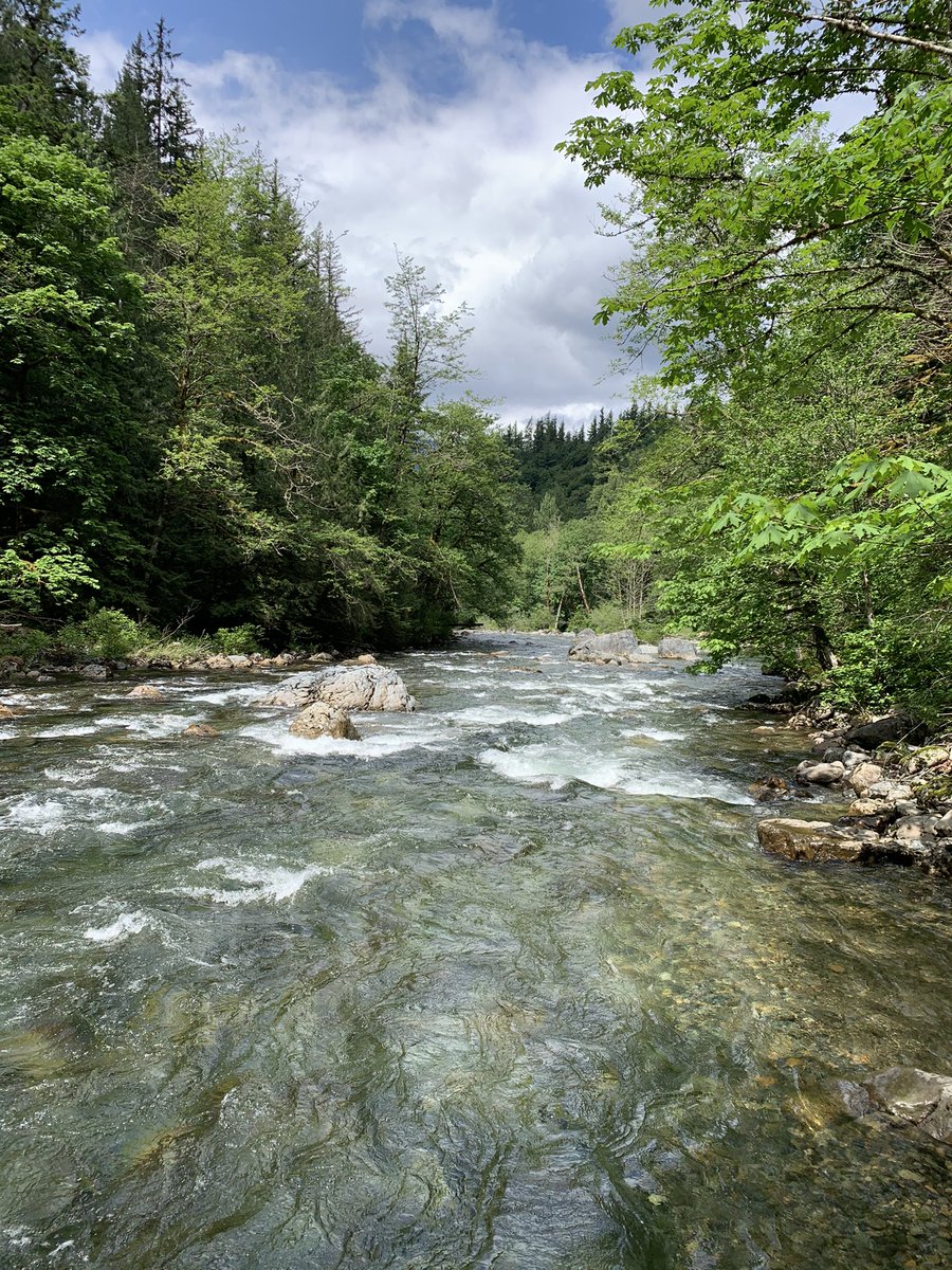 we can start with a banger