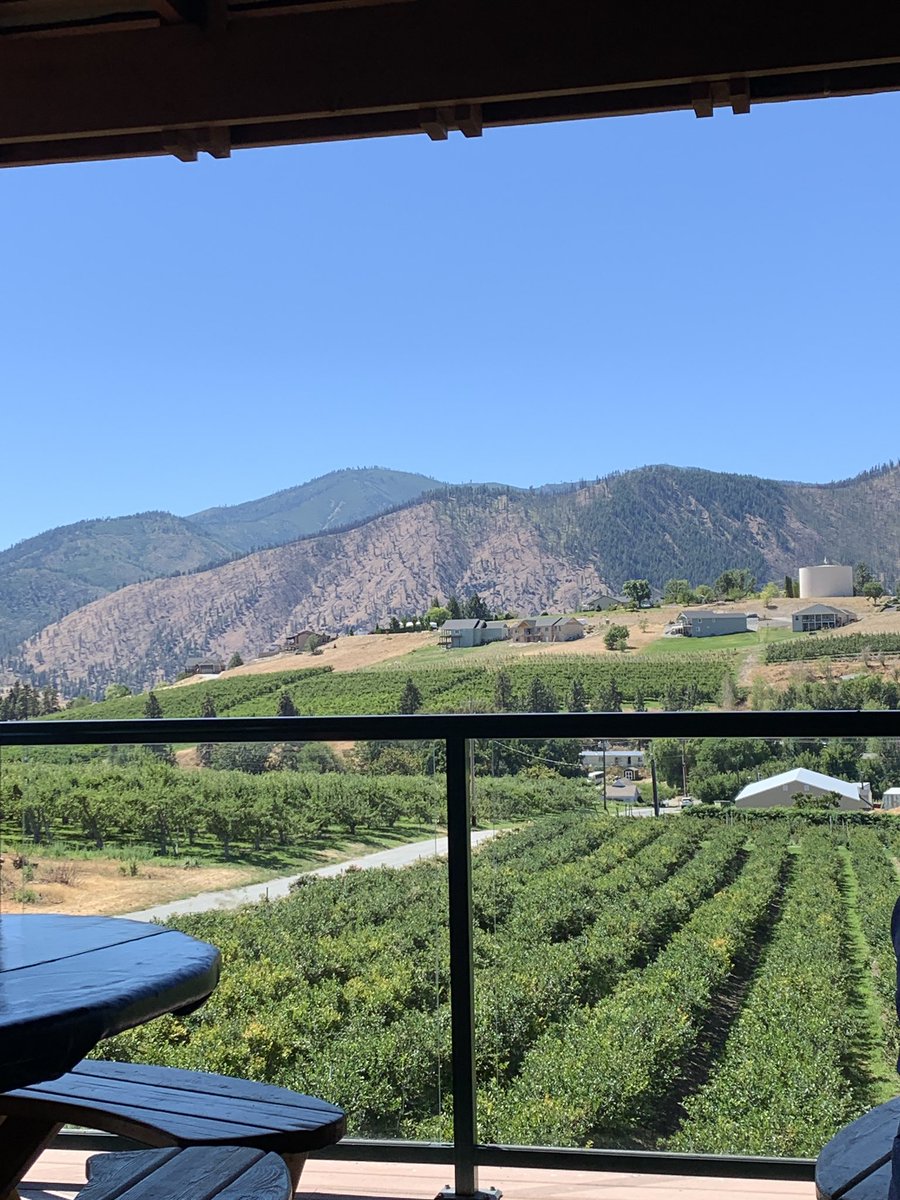 we can start with a banger