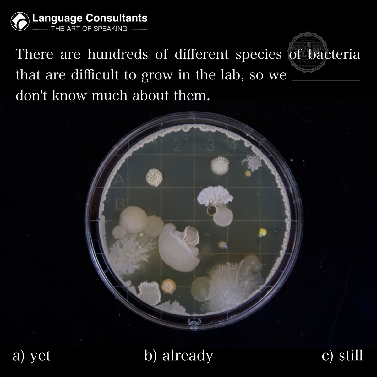 #english 🇬🇧 #englishlearning #learnenglish #languagelearning #englishonline #italianonline 
#bacteria #antibacterial #goodbacteria #beneficialbacteria #medical #biology #science #health