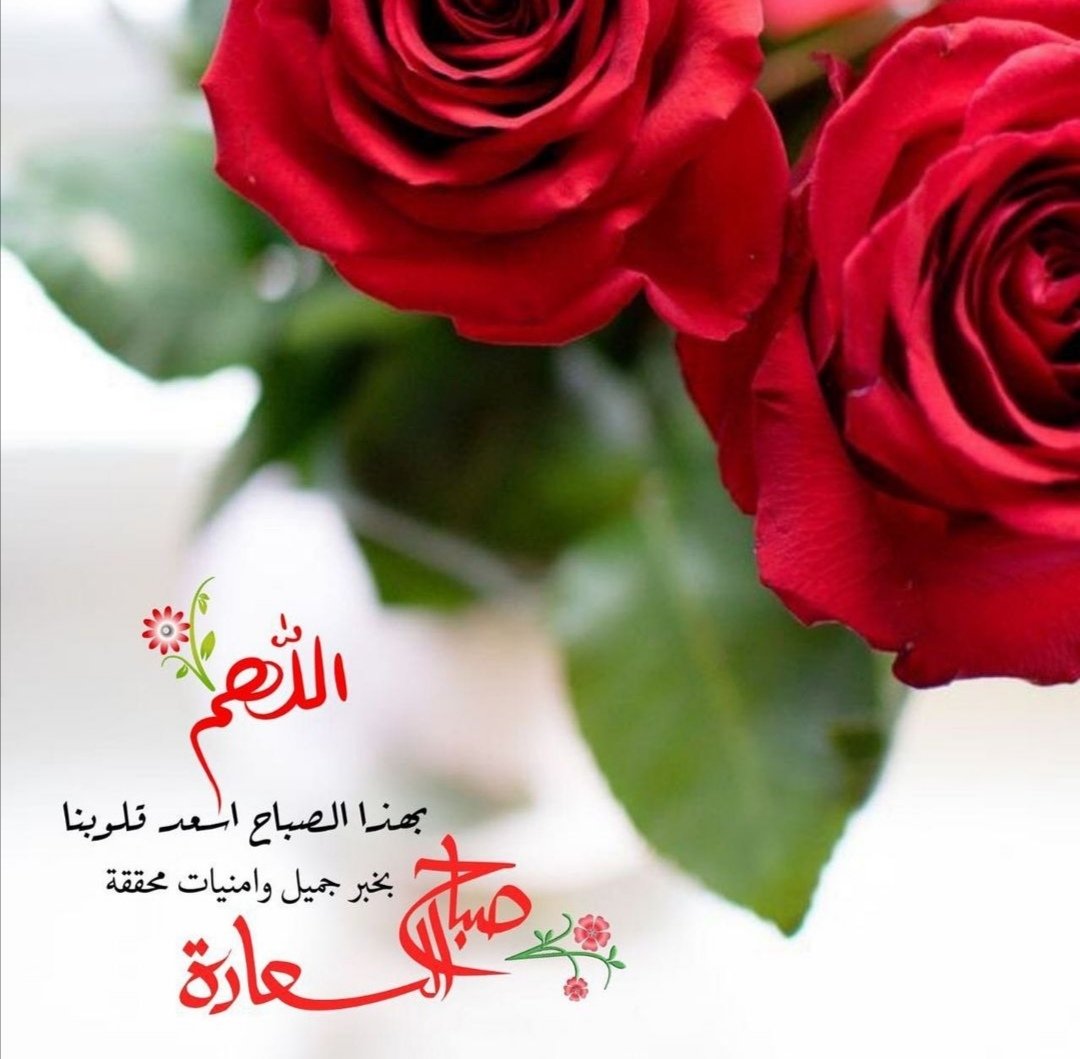 KsaKiwi's tweet photo. اللهم 
ياخيرمعبودويامن يسجدله كل ما 
في الوجود نسألك أن لا تكْسـرْ لنـَـا 
قلبًا ولا تصعّـبْ عليّنـَا أمرًا واحفظْ 
لنَــا أحبَــابنَا ومنْ يريدُ بنَــا خيرًا 
اللّهمَّ 
إجعلنَـا مِمَنْ تفاءلَ بخيّرك 
فَـأكرَمتَهُ وتوكَـل عليك  فكَفيْته. https://t.co/Epy8HDoobz