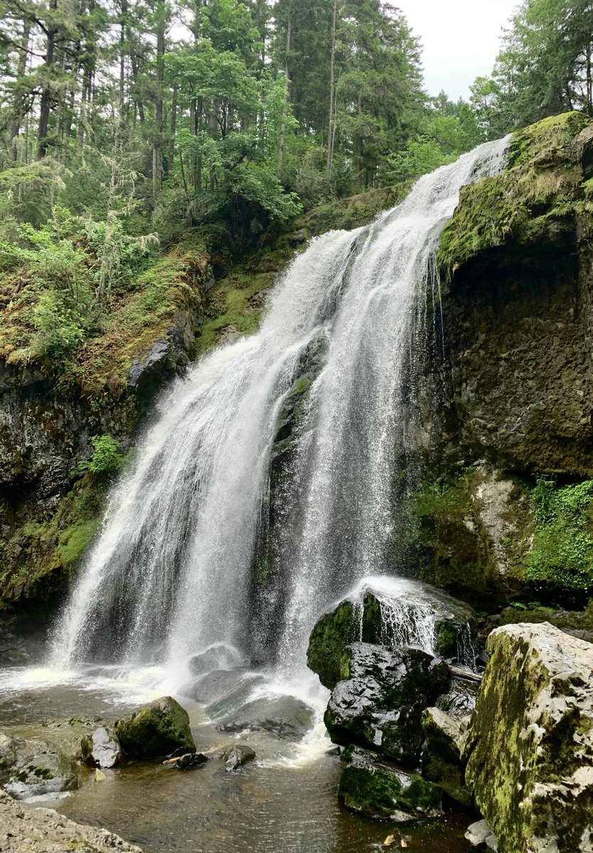 we can start with a banger