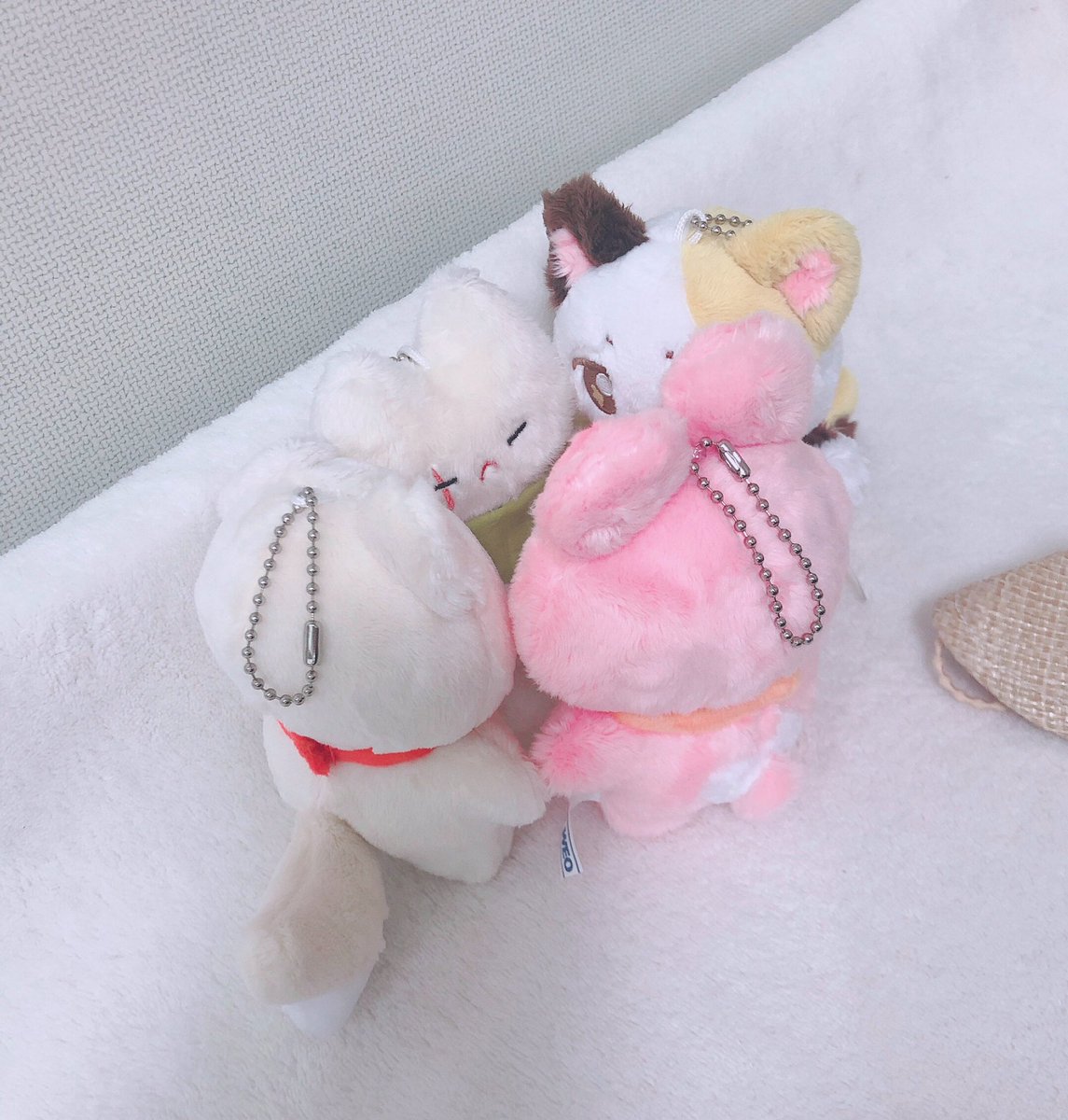 caa0613's tweet photo. 🐱 오늘 너희들은 부른 이유는
🐻🐤🐰 (심각)
🐱 내가 외로워서다

#대취티 #미미 #비비 #키키 https://t.co/maPGPkn9sb
