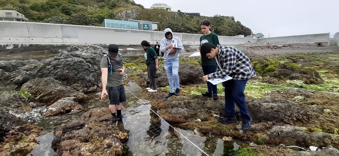 MEEMLab_NZ's tweet photo. Great day at the Coastal Ecology Lab with visiting Māori and Pasifika high school students yesterday! We had a lot of fun teaching you about marine science, hope to see you in the program in a few years! @Dralicerogers @chellybiologist @VGCarrington https://t.co/Cpml6KYROb