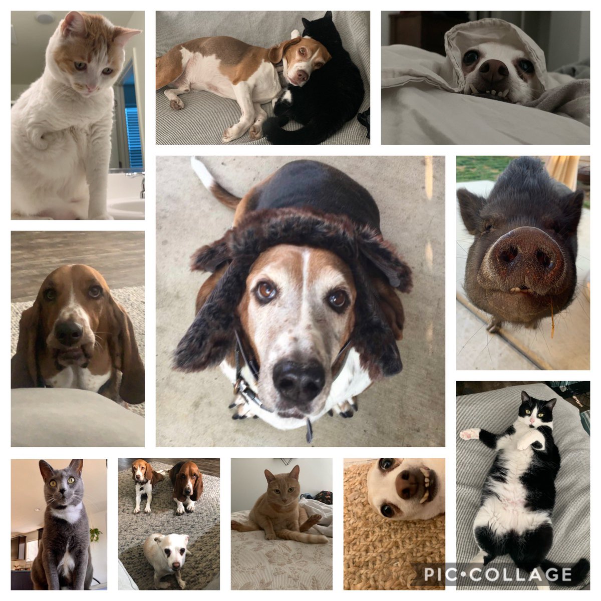 Justin Ruhga tweet media